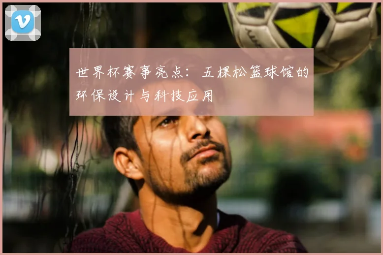 世界杯赛事亮点：五棵松篮球馆的环保设计与科技应用