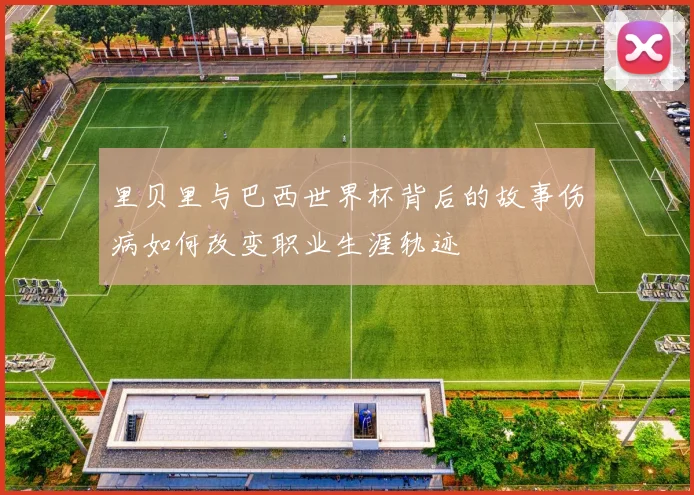 里贝里与巴西世界杯背后的故事伤病如何改变职业生涯轨迹