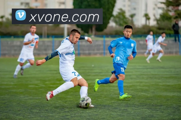 App Interface Preview